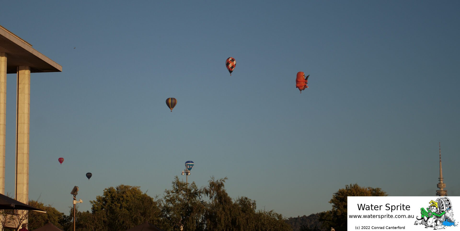 Balloons on the skyline