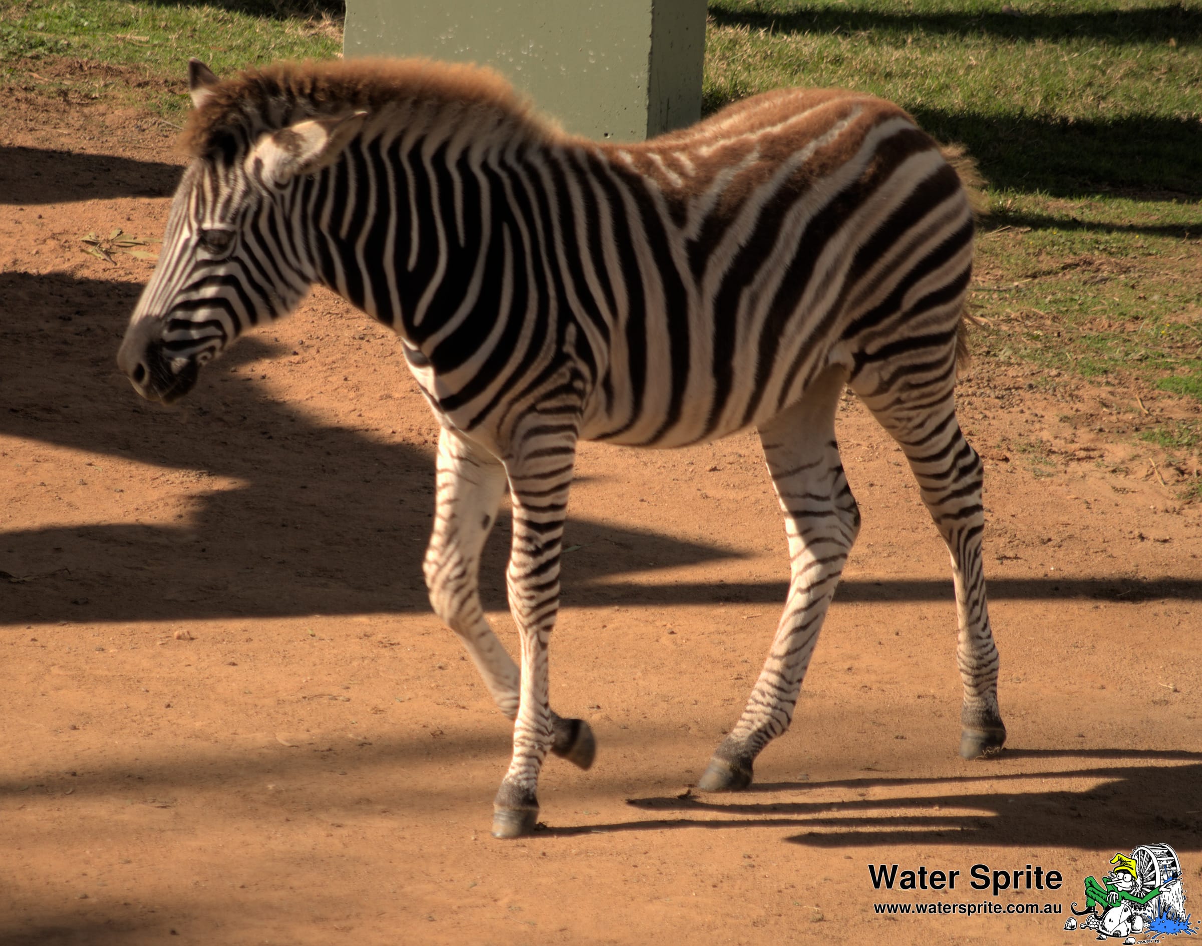 National Zoo and Aquarium