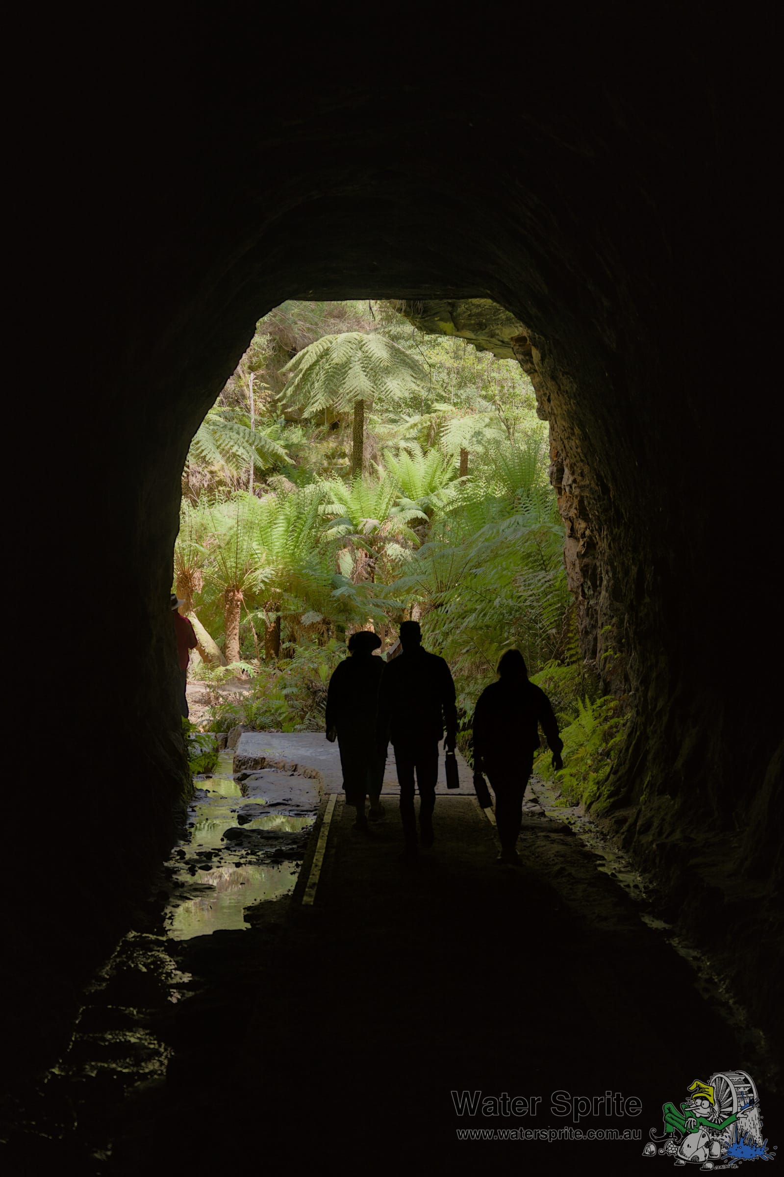 Glow Worm Tunnel walk – Bathurst and Lithgow 2024